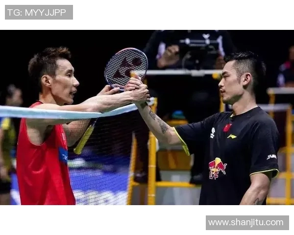 林丹与李宗伟2016年经典对决重播回顾精彩瞬间与赛场传奇